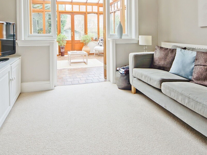 Wall To Wall Carpets white